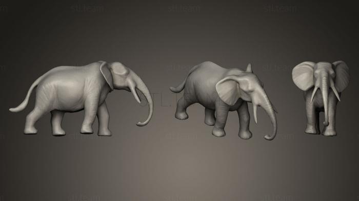 3D модель Пластиковый Слон (STL)